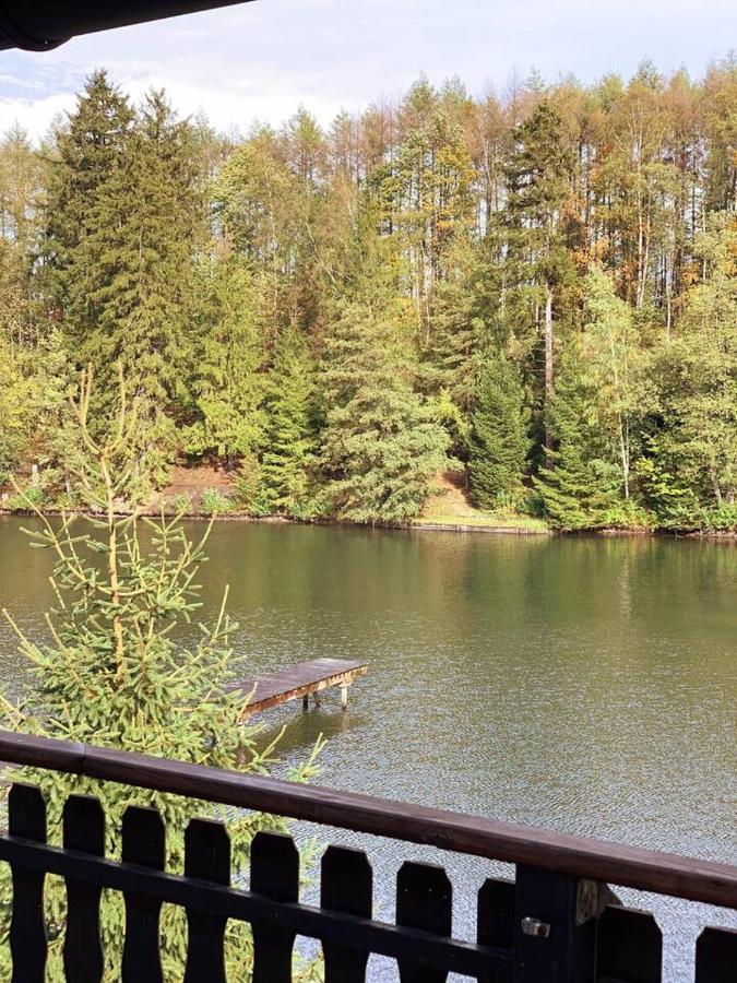 Das Waldseechalet Maerchenhafter Waldseeblick - Moderne Wohnung Mit Infrarotsauna Hasselfelde Exterior foto