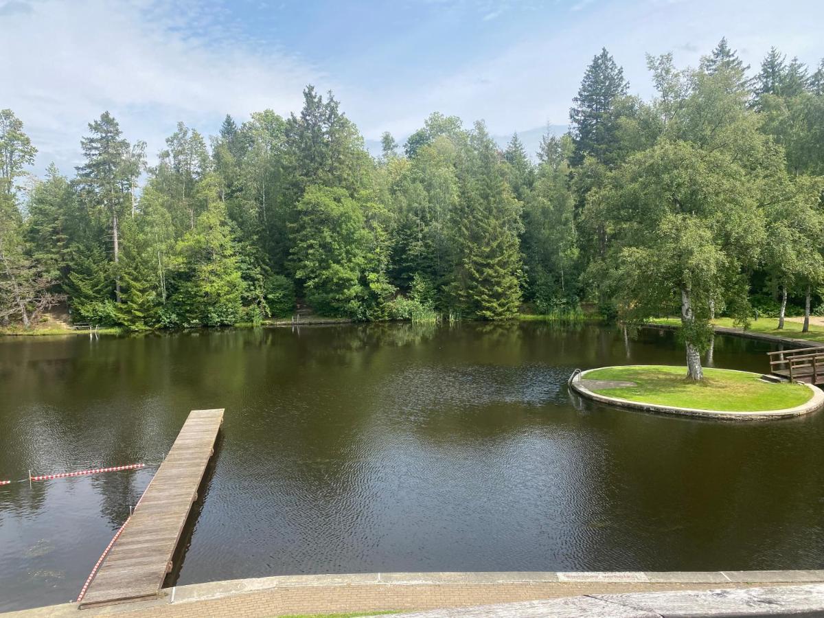 Das Waldseechalet Maerchenhafter Waldseeblick - Moderne Wohnung Mit Infrarotsauna Hasselfelde Exterior foto